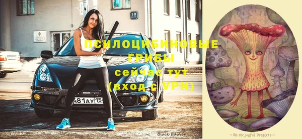 не бодяженный Богородицк