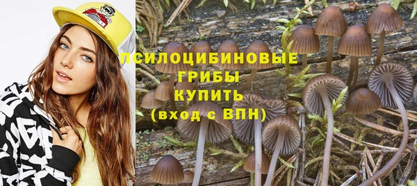 не бодяженный Богородицк